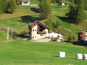 Chalet Rin da Pemont